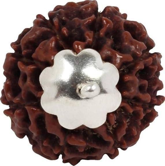 BD 7 Mukhi Rudraksha Silver Capped Pendant - Rugged Lizard